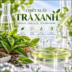 chiết xuất trà xanh