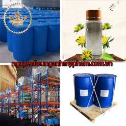 Nguyên liệu mỹ phẩm chiết xuất cây phỉ