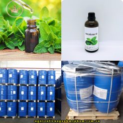 Tinh dầu bạc hà – Nguyên liệu mỹ phẩm với nhiều công dụng hữu ích cho làn da phụ nữ