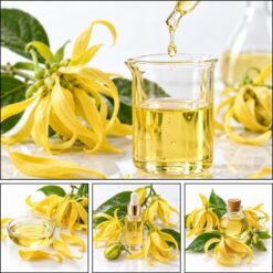 tinh dầu ngọc lan tây
