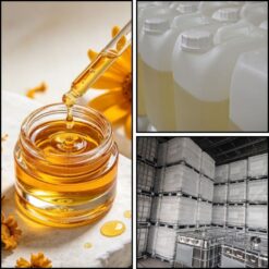 Cung Cấp Chiết Xuất Cúc Arnica