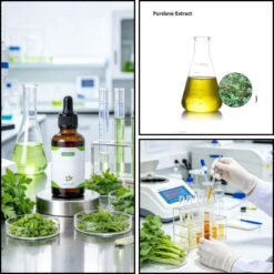 Chiết Xuất Rau Sam – Nguyên Liệu Mỹ Phẩm Chăm Sóc Da