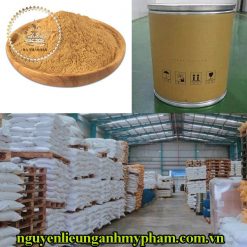 Chiết xuất hành tây