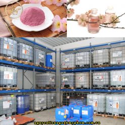 Chiết xuất hoa anh đào (chiết xuất hoa Sakura) được tạo ra theo một quy trình sản xuất độc đáo, những bông hoa sau khi thu hoạch sẽ được đông khô và tán mịn ra