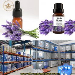 Chiết xuất hoa oải hương là một thành phần nguyên liệu mỹ phẩm được lấy từ phần thân và lá của loài hoa này