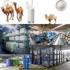 chiết xuất sữa lạc đà là một loại thành phần nguyên liệu mỹ phẩm rất được ưa chuộng. Bởi vì nó không chỉ hữu ích trong việc điều trị các rối loạn về da như: mụn trứng cá, viêm da, chàm, bệnh vẩy nến