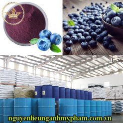 chiết xuất Việt Quất