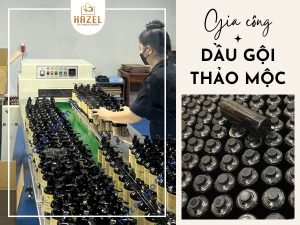 Gia công dầu gội thảo mộc