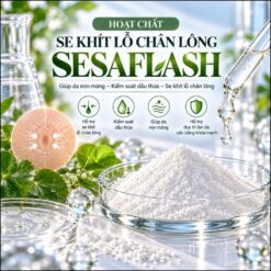 SESAFLASH